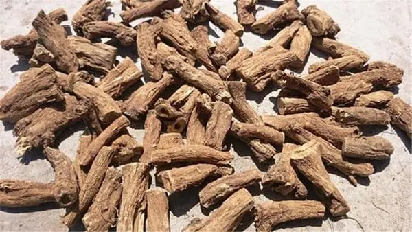 سعر القسط الهندي